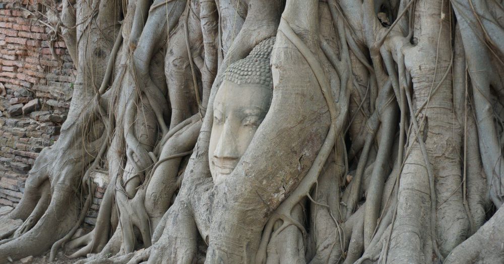 Historic City of Ayutthaya | Thailand