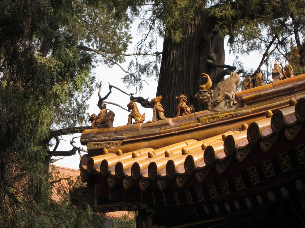 Cómo organizar un viaje a China